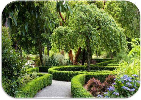 Alberi e giardino botanico a Curtatone