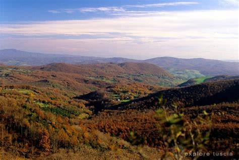 Paesaggio agricolo dei Monti della Tolfa