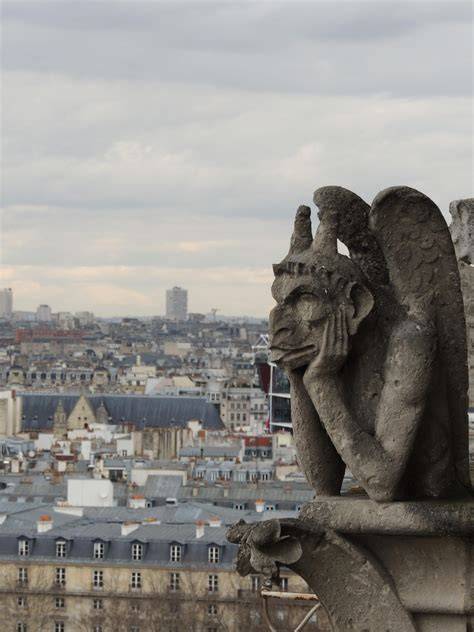 Panorama di Parigi dalle torri di Notre-Dame