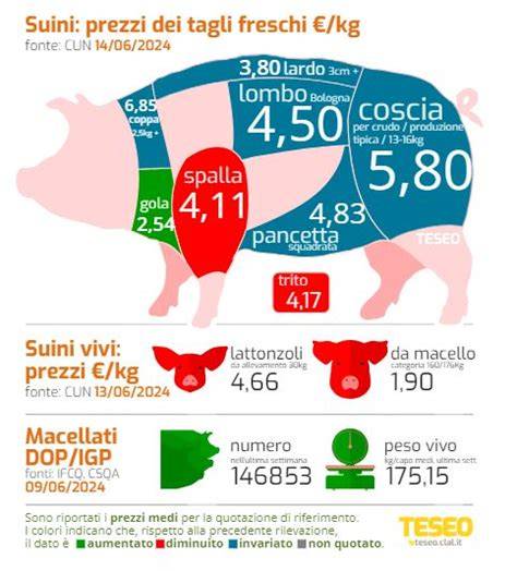 Schema categorie CUN suini da macello