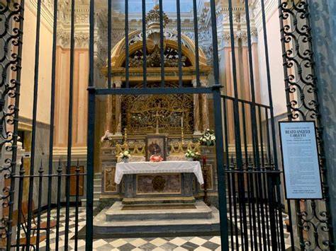 Beato Angelo Carletti ritratto