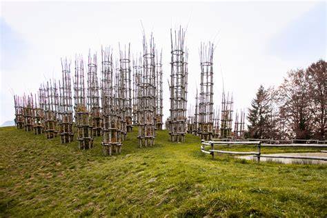 laghetto davanti alla Cattedrale Vegetale