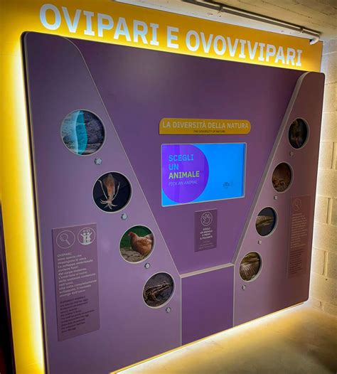Allestimento museale interattivo dedicato ai cantautori