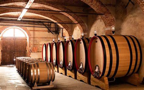 Cantina delle Langhe con barrique e bottiglie