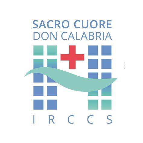 IRCCS Ospedale Sacro Cuore Don Calabria Negrar Verona
