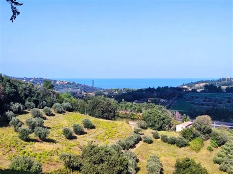 Tenuta Madonna del Cavaliere colline Fano