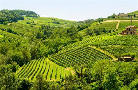 tour motociclistico colline Roero Piemonte