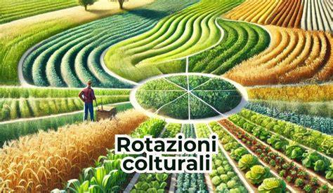rotazione colture biologiche pieno campo