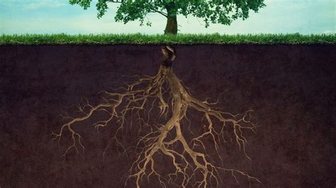 Albero del peccato e radice spirituale