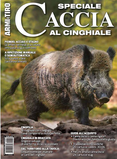 Cinghiale di Altomaglio cavalcatura