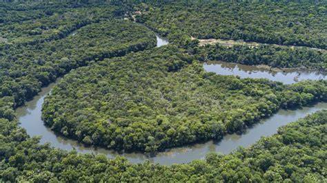 Bioma amazzonico fiumi foresta biodiversità