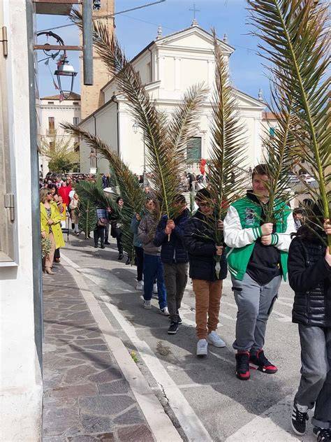 Processione delle Palme con ulivi