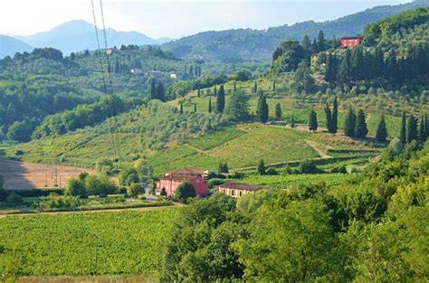 agriturismo tra ulivi e colline del Cilento