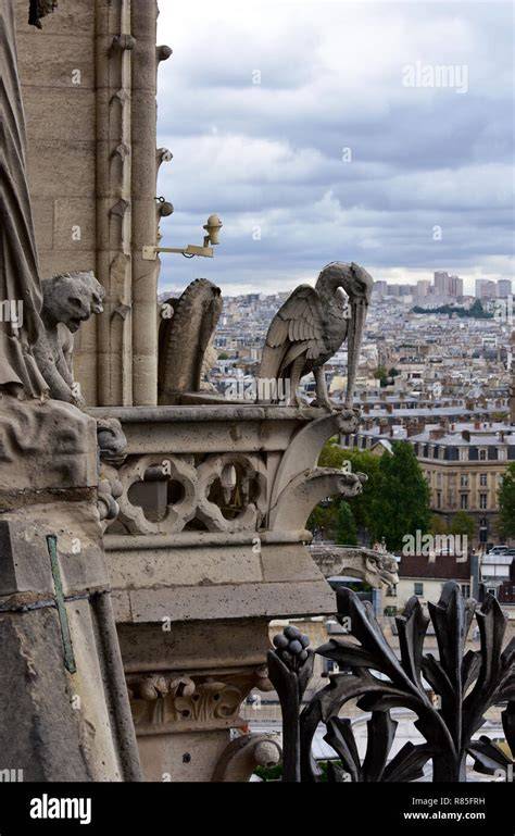 Gargoyle e chimere sulla cattedrale di Notre-Dame