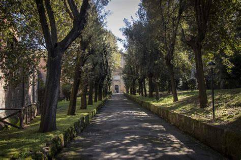 Viale alberato verso Santuario di Cussanio
