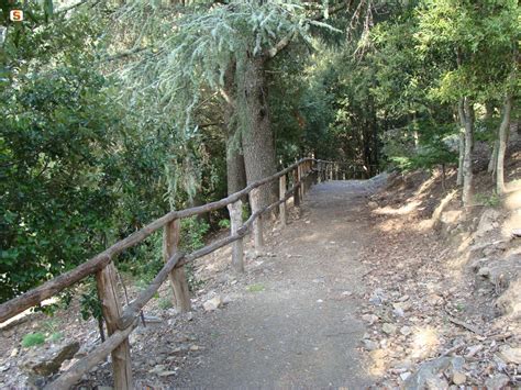 Sentiero forestale verso leremo San Leonardo