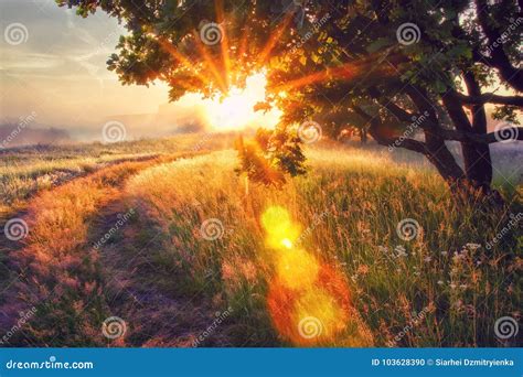 Alba luminosa simbolo dell’Avvento