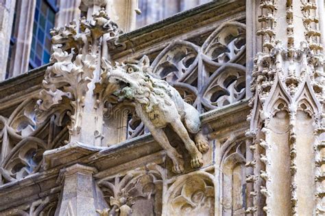 Gargoyle su cattedrale gotica