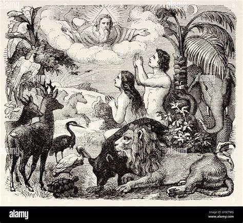 Paradiso terrestre uomo animali frutti