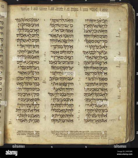 Manoscritto biblico e simboli di discernimento