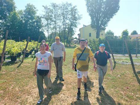 Ragazzi che collocano frutti sull’albero