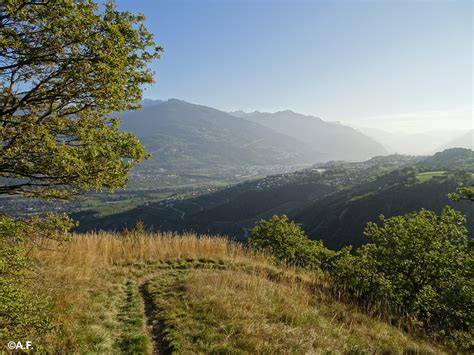 Panorama della Valdera dalla collina