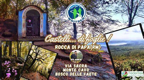 Via Sacra tra cappelle e bosco