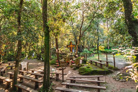 Bosco di Zaro e luogo di preghiera