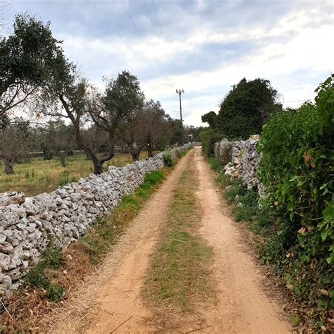 Tratturo e santuario di Iuvanum