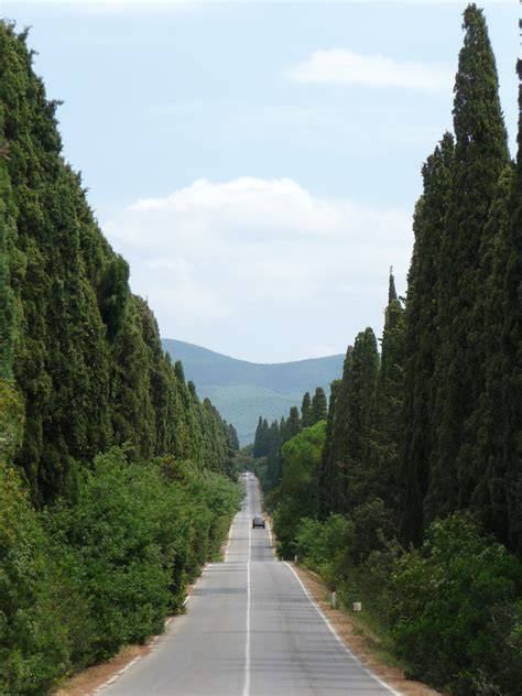 Abbazia di San Claudio e viale dei cipressi