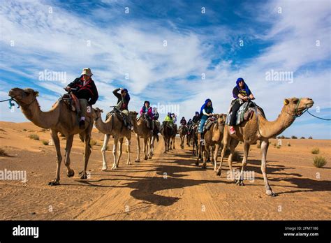 Carovana di Mansa Musa nel Sahara