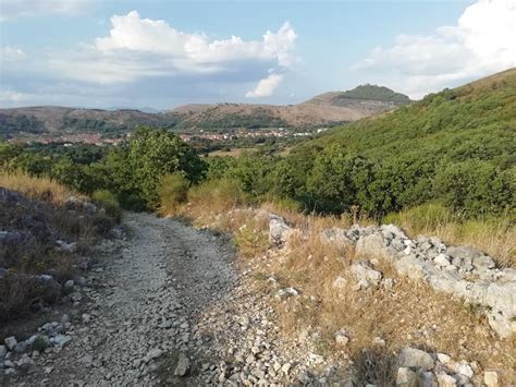 Paesaggio dei Colli Tifatini con uliveti