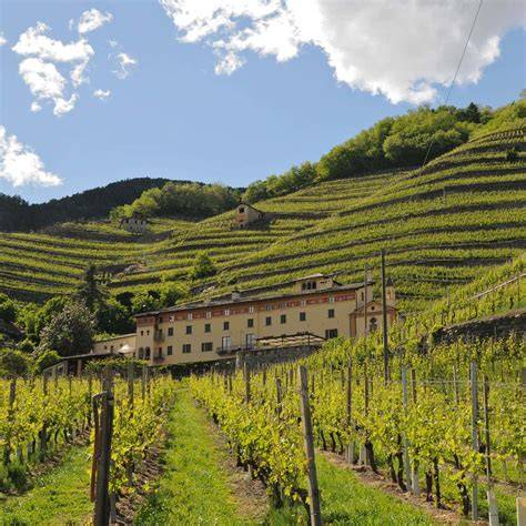Santuario tra i vigneti della Valtellina