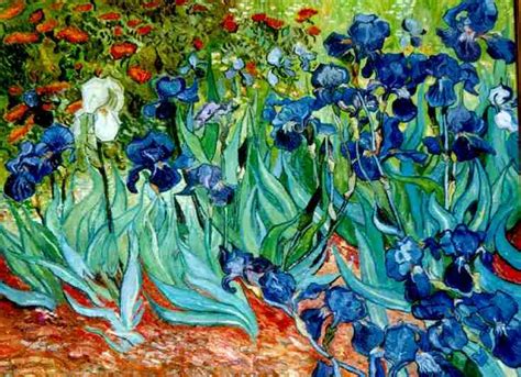 Gli Iris di Van Gogh e iris naturali