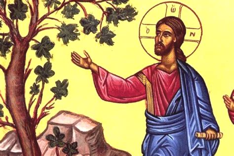 Gesù e il fico seccato nel Vangelo