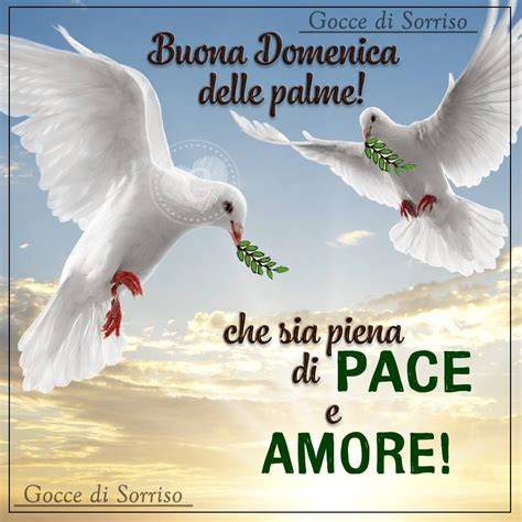 Immagine Domenica delle Palme pace