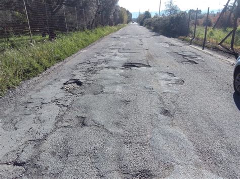 Strada e attività commerciali a Torrino