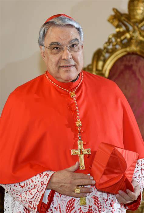 Marcello Semeraro cardinale pugliese