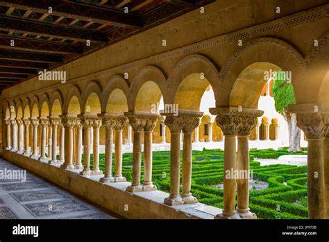 Vite secolare nel chiostro del monastero