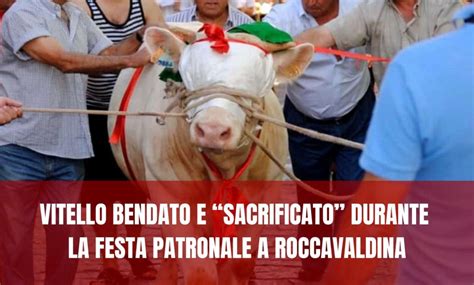 Fedeli nel piazzale durante la festa patronale
