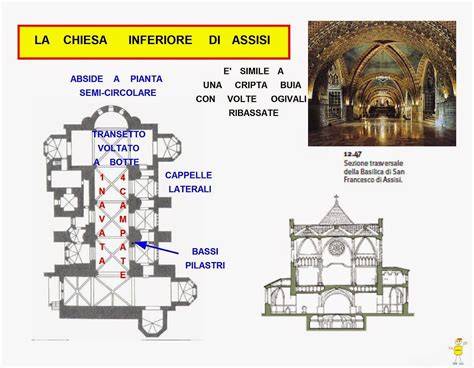 Sezione architettonica cattedrale e cripta