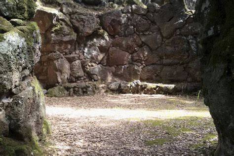 Villaggio nuragico Bruncu S’Omu nel bosco