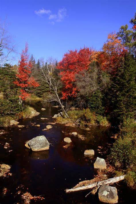 Accampamento nascosto nella foresta del Maine