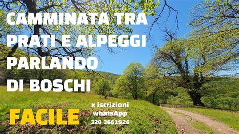 Pochi di Salorno tra boschi e prati