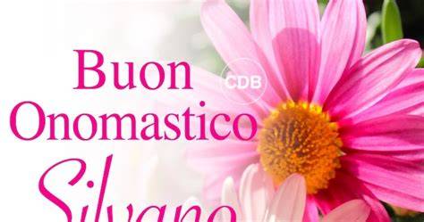 Biglietto floreale buon onomastico Silvana